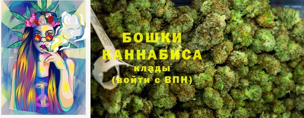 винт Гусь-Хрустальный