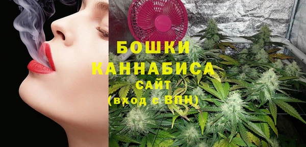винт Гусь-Хрустальный