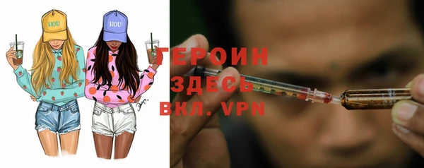 хмурый Пересвет