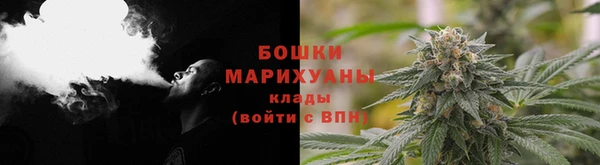 винт Гусь-Хрустальный