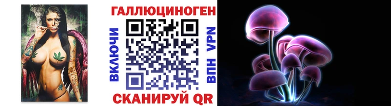 купить закладку  Донской  Псилоцибиновые грибы Cubensis 