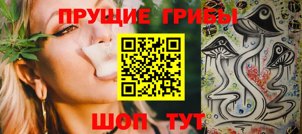 Галлюциногенные грибы Psilocybe Донской