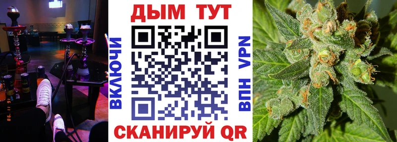 Канабис сатива Донской
